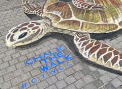 Chalk the Walk giant turtle art
