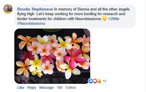 Frangipani flowers for Neuroblastoma Awareness Day 2 Feb